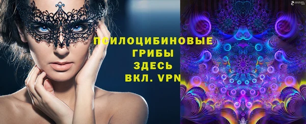 эйфоретик Переславль-Залесский