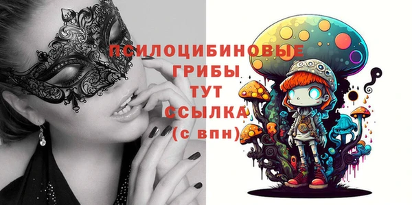 эйфоретик Переславль-Залесский