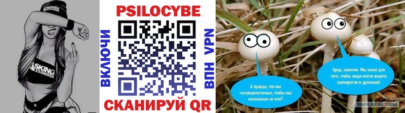 Галлюциногенные грибы MAGIC MUSHROOMS  Сусуман 